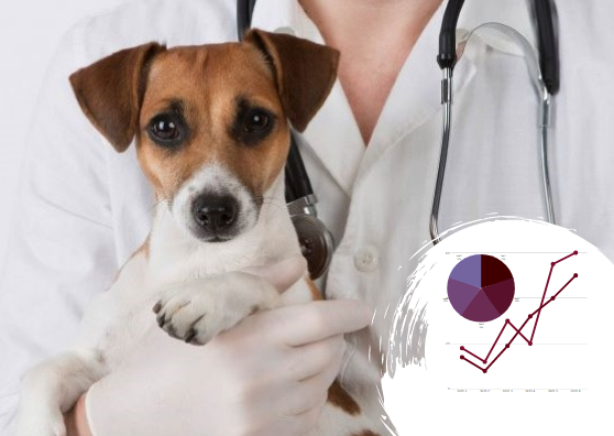 Бизнес-план ветеринарной клиники: любая помощь любимцам 